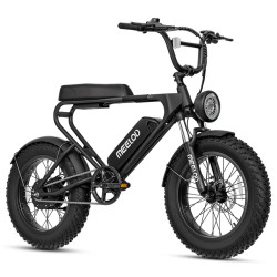 EBIKE MEELOD BLACK DK200 EBIKE MEELOD BLACK DK200