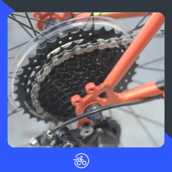 Bike | Complete overhaul Bike | Complete overhaul